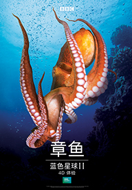 章鱼：蓝色星球II 4D体验