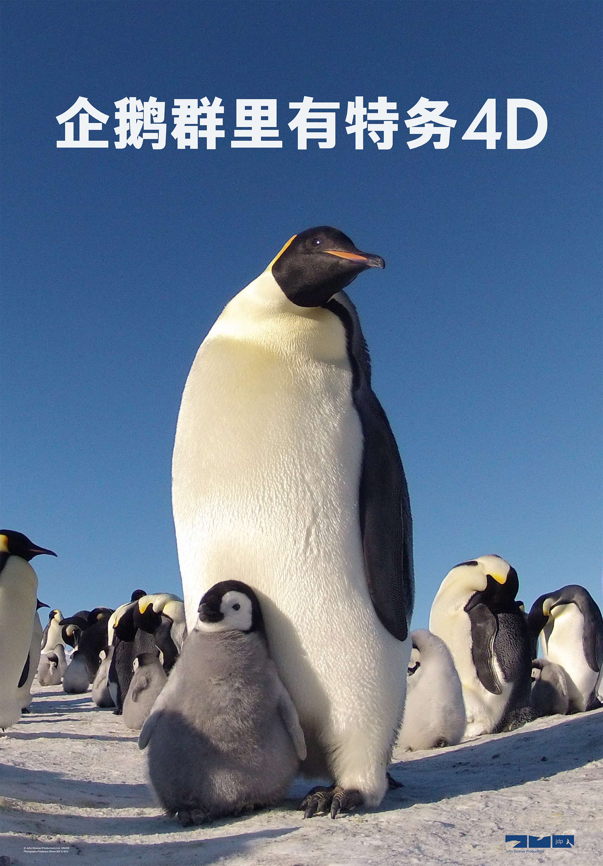 企鹅群里有特务