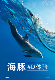 海豚4D体验